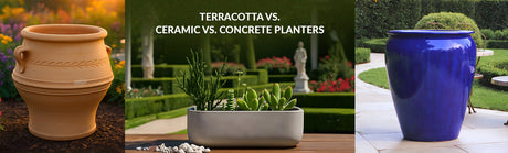 Terracotta vs. Ceramic vs. Concrete Planters: Which One Should You Choose?