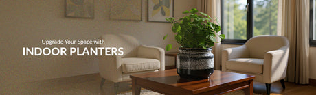 Best Ideas for Modern Indoor Planters: Self-Watering and Eco-Friendly Picks for 2025