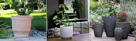 Fresh Finds - Explore Our New Arrival Planters for Home & Garden!