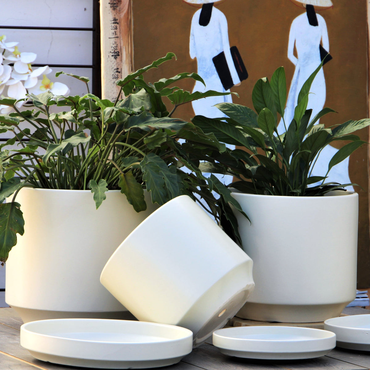 Buy Mid-Modern Planters | Stylish Indoor Pots  PLANTATOREM