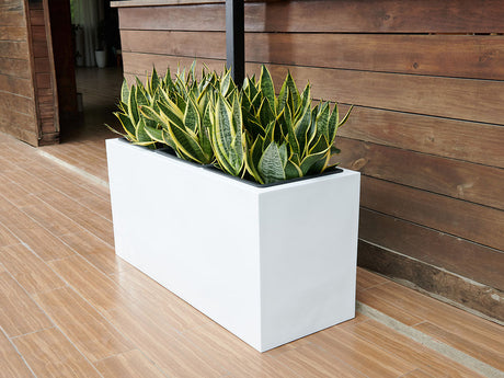Rectangular Box Planter (Set of 3) By Plantatorem