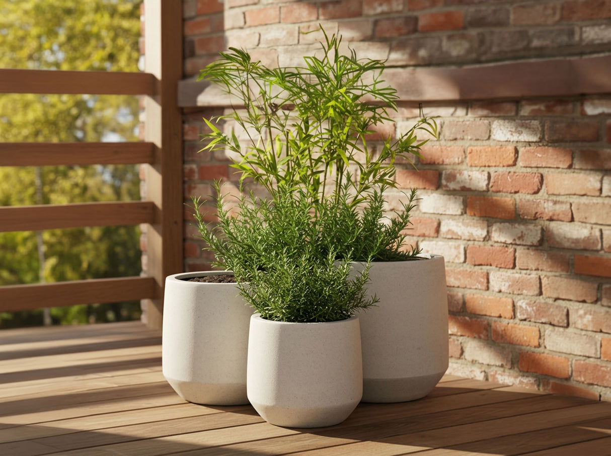 GEO PLANTER