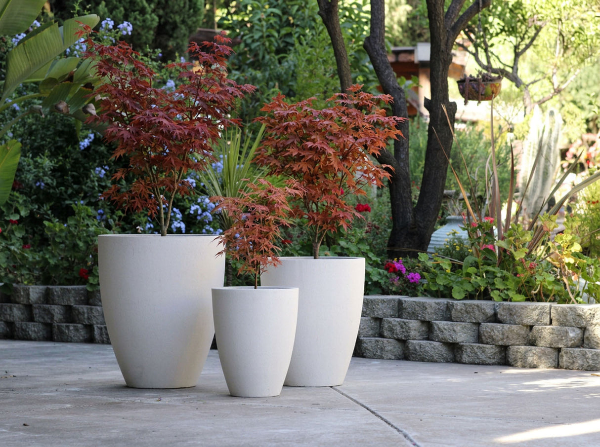 ALOCASIA TAPER PLANTER