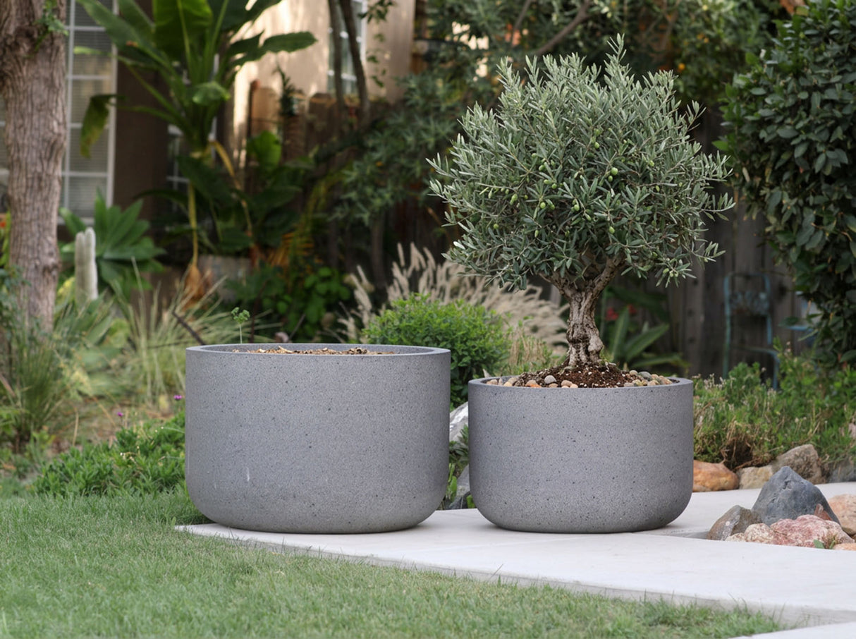 OLIVE BOWL PLANTER