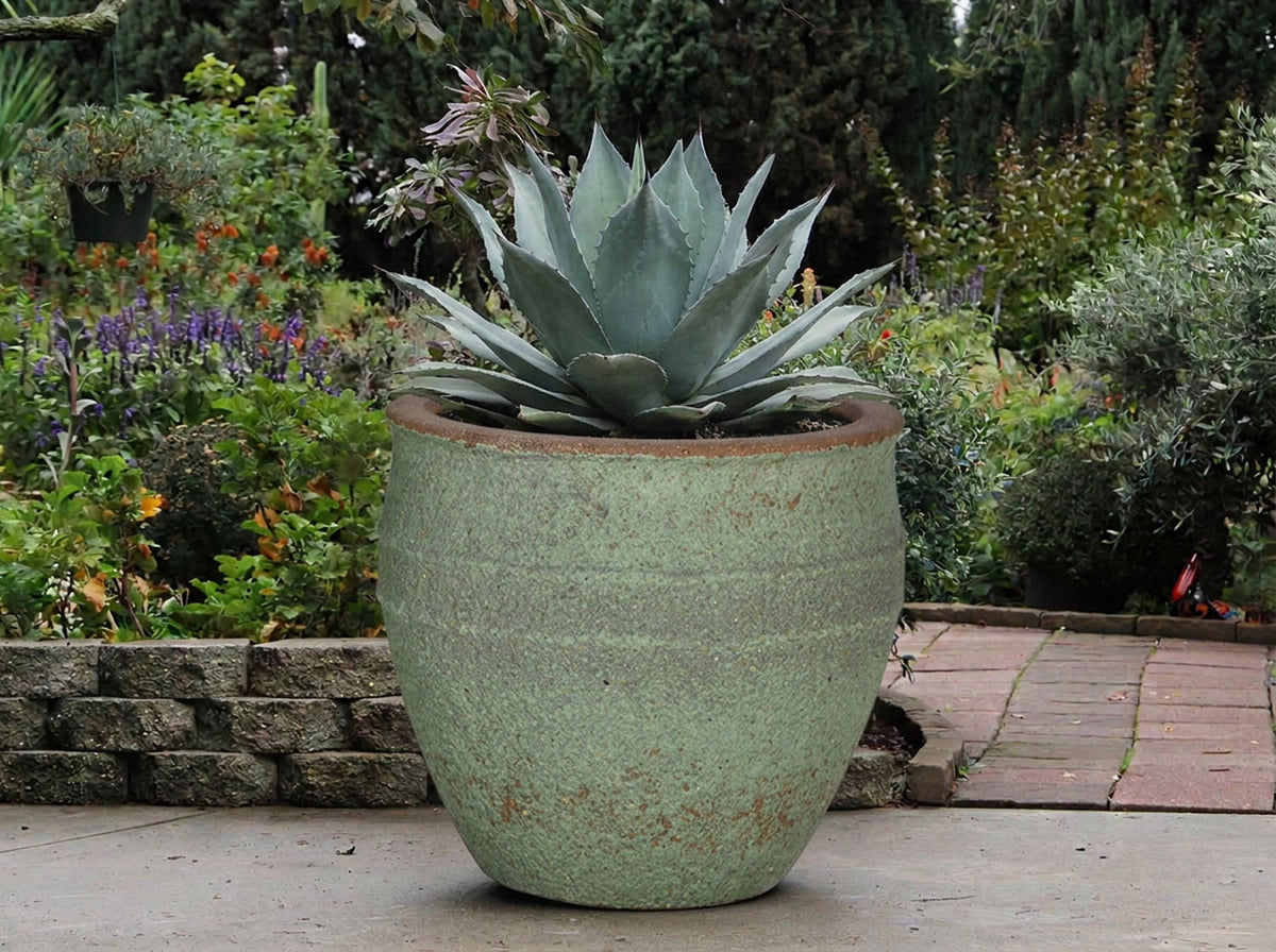 BASIN PLANTER