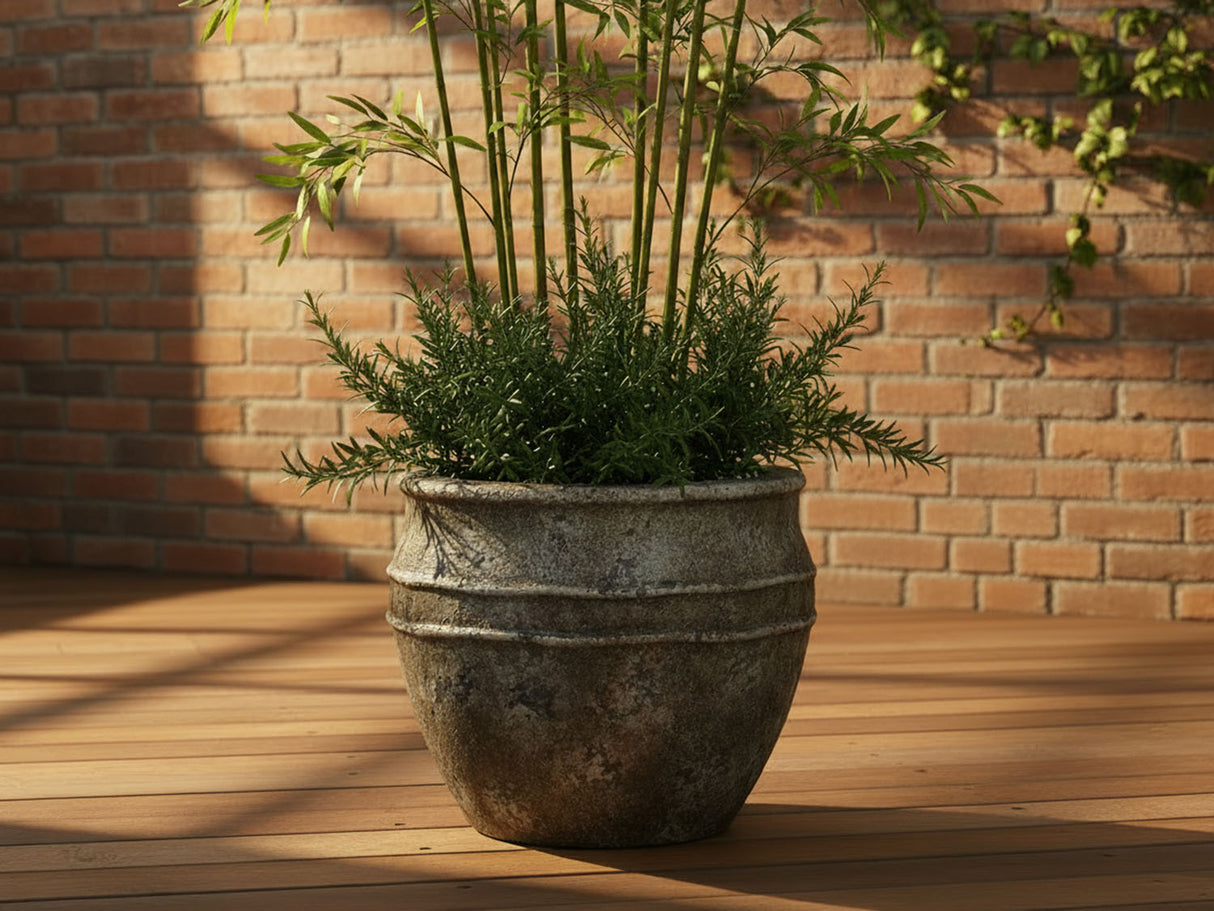 BASIN PLANTER