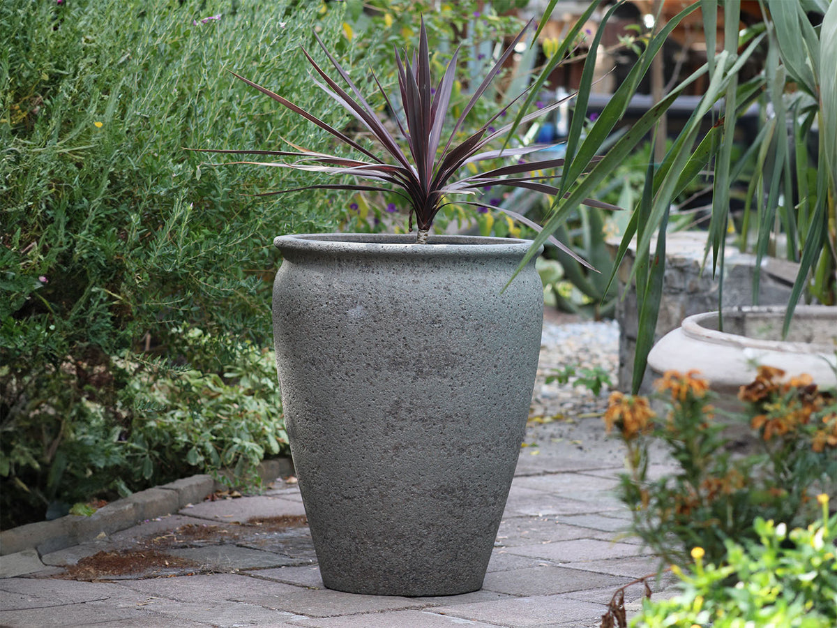 MAXIMUS PLANTER