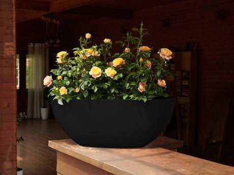 Low Oval Planters By Plantatorem