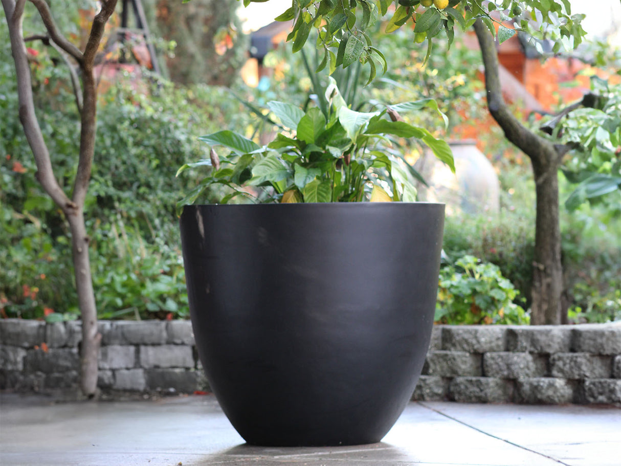 Deep Bowl Planter 43.5" D x 37.5" H By Plantatorem