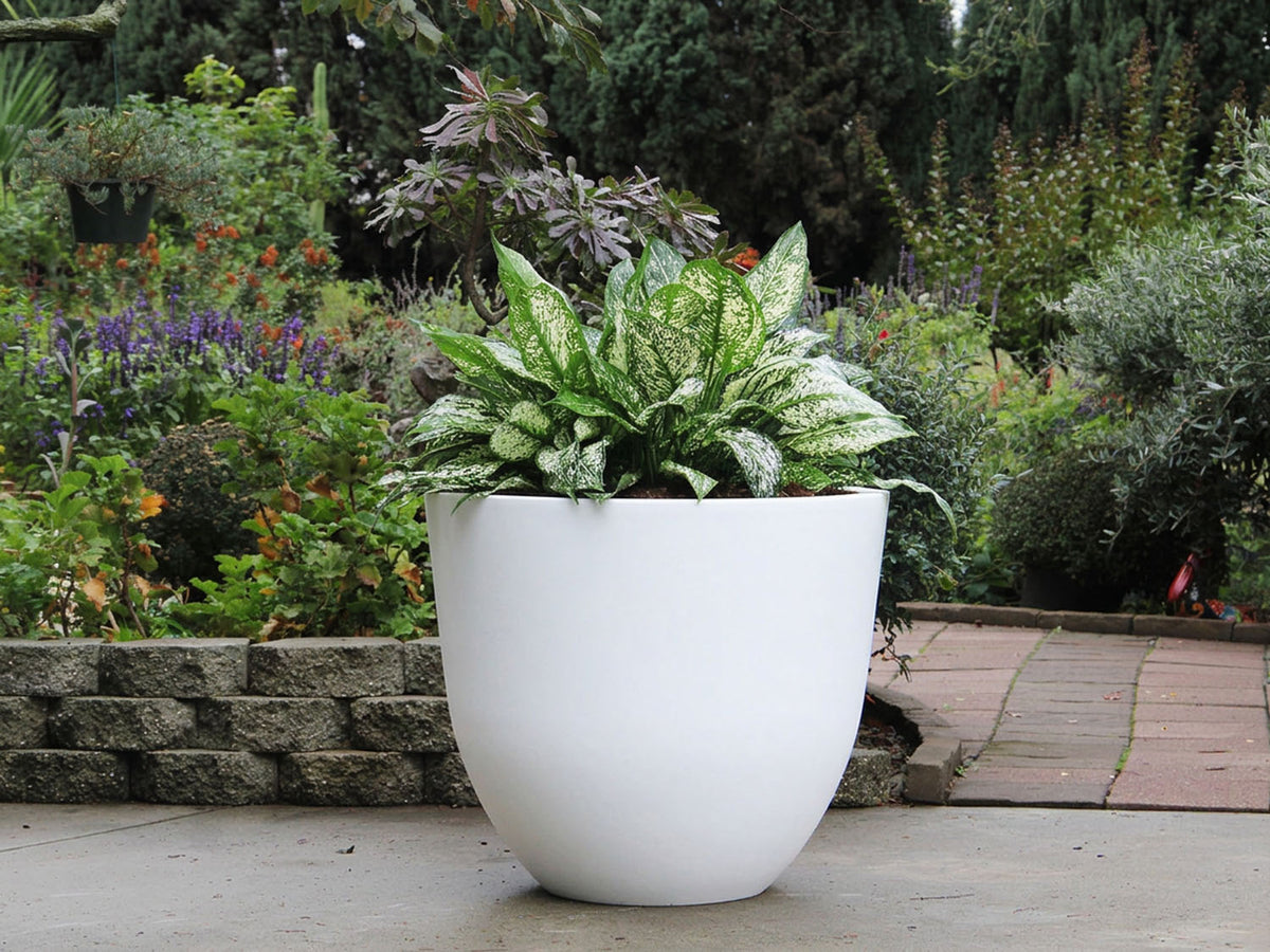 Deep Bowl Planter By Plantatorem