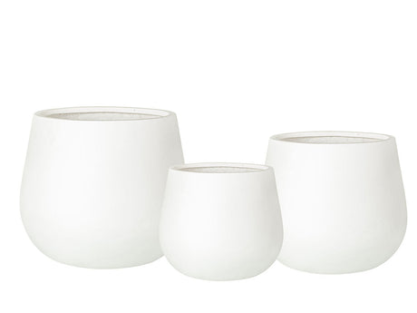 Low Trunk Planter By Plantatorem