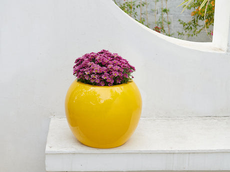 Sphere Planter- (Single Planter) By Plantatorem
