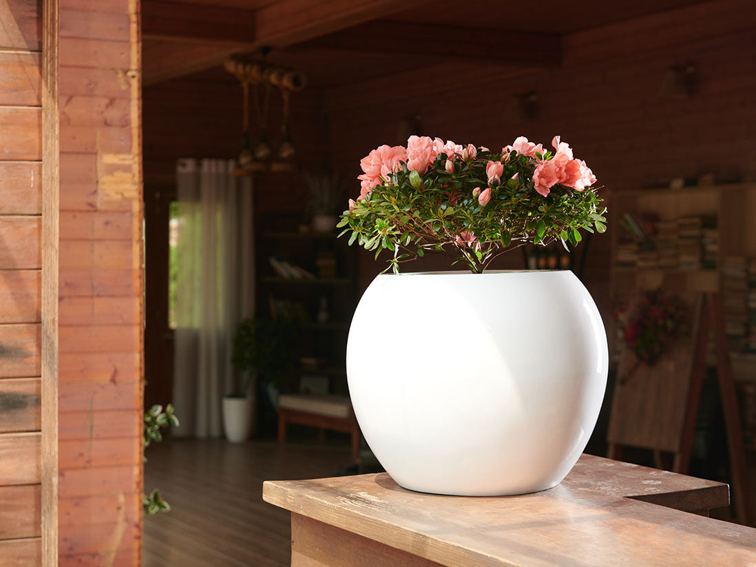 Sphere Planter- (Single Planter) By Plantatorem