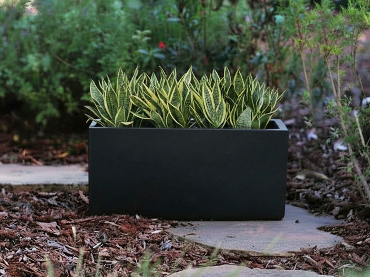 Rectangular Box Planter (Set of 3) By Plantatorem