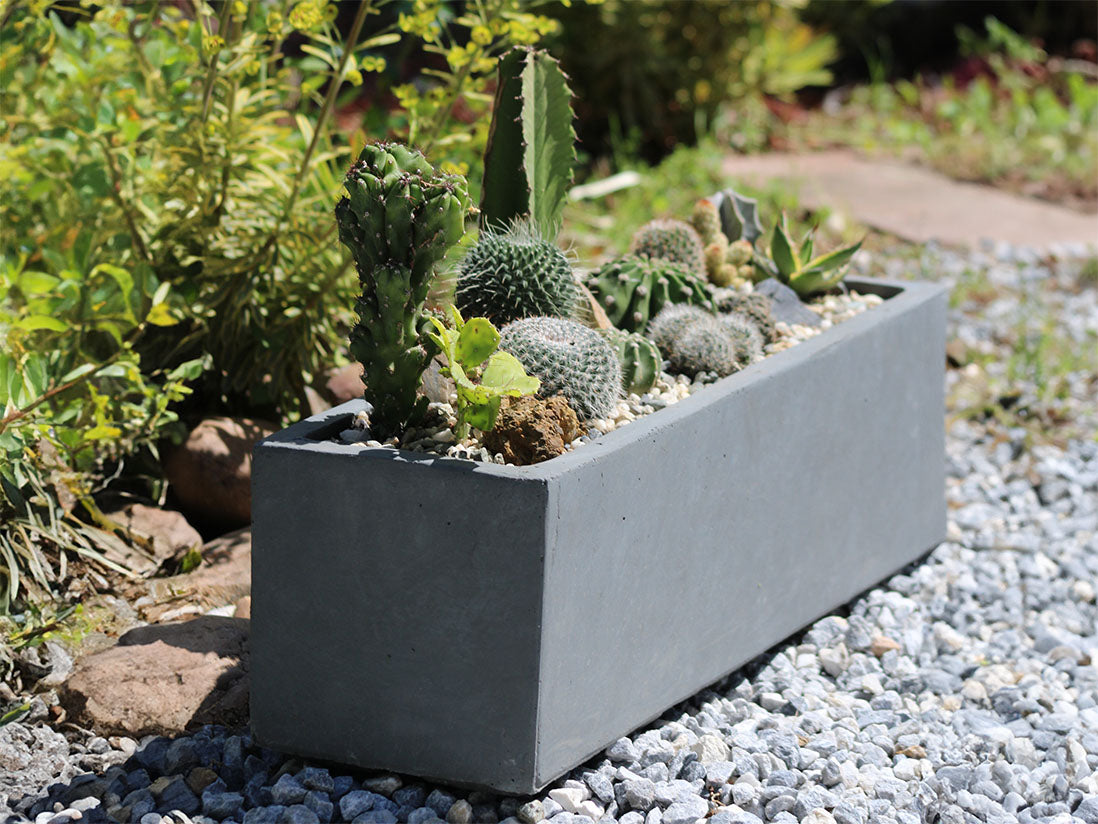 Red hood Table Box By Plantatorem