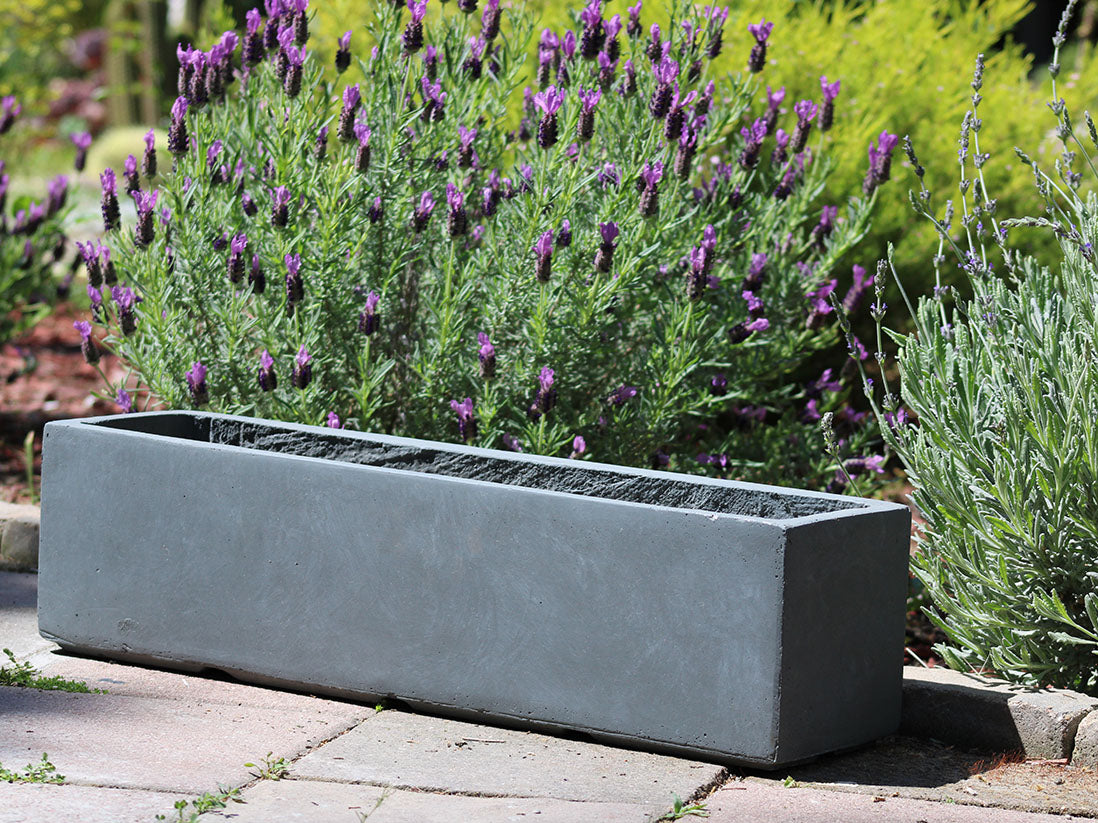 Red hood Table Box By Plantatorem