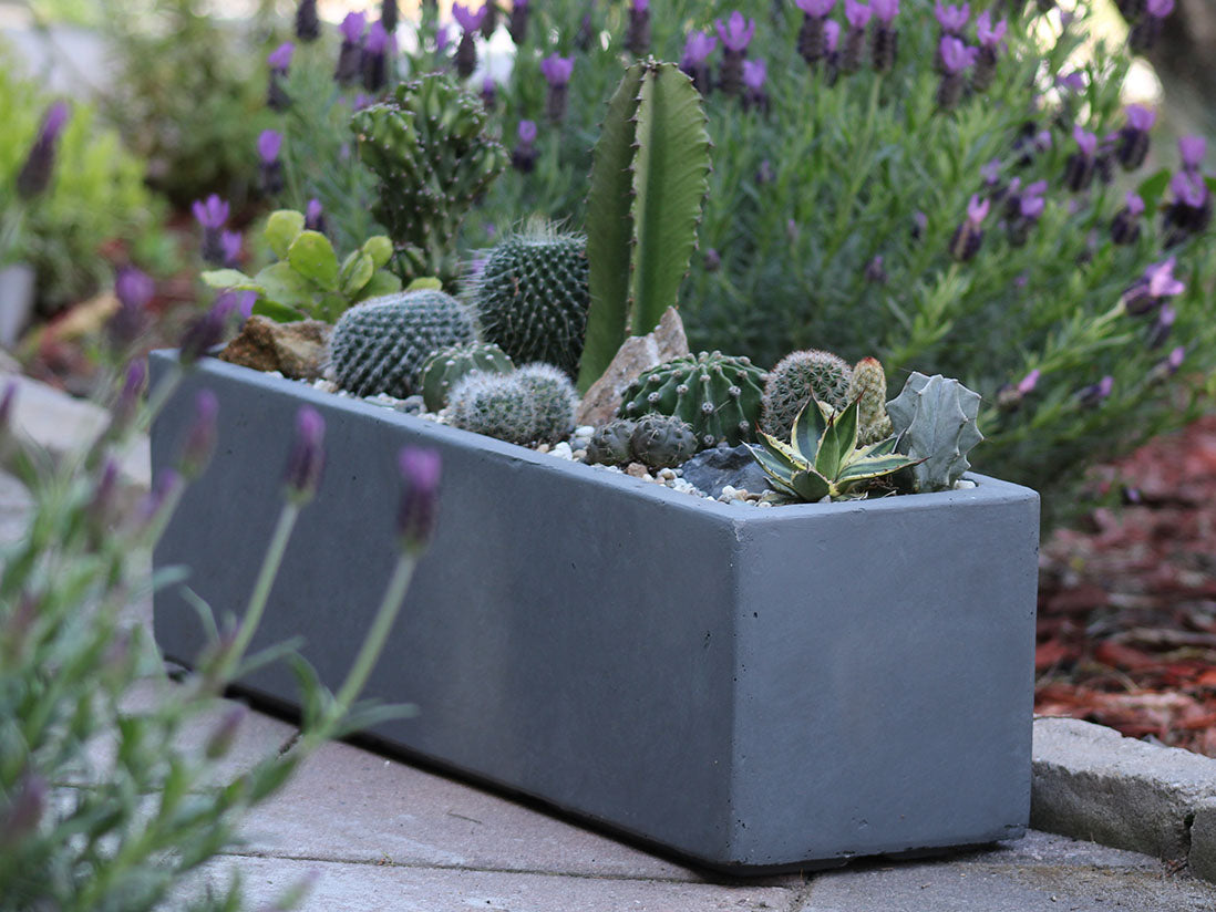 Red hood Table Box By Plantatorem