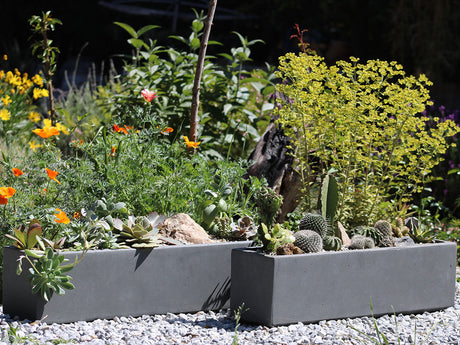 Red hood Table Box By Plantatorem