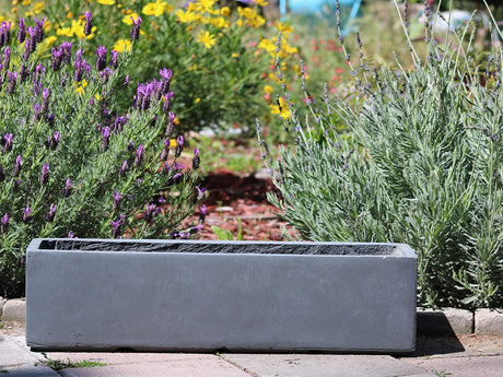 Red hood Table Box By Plantatorem