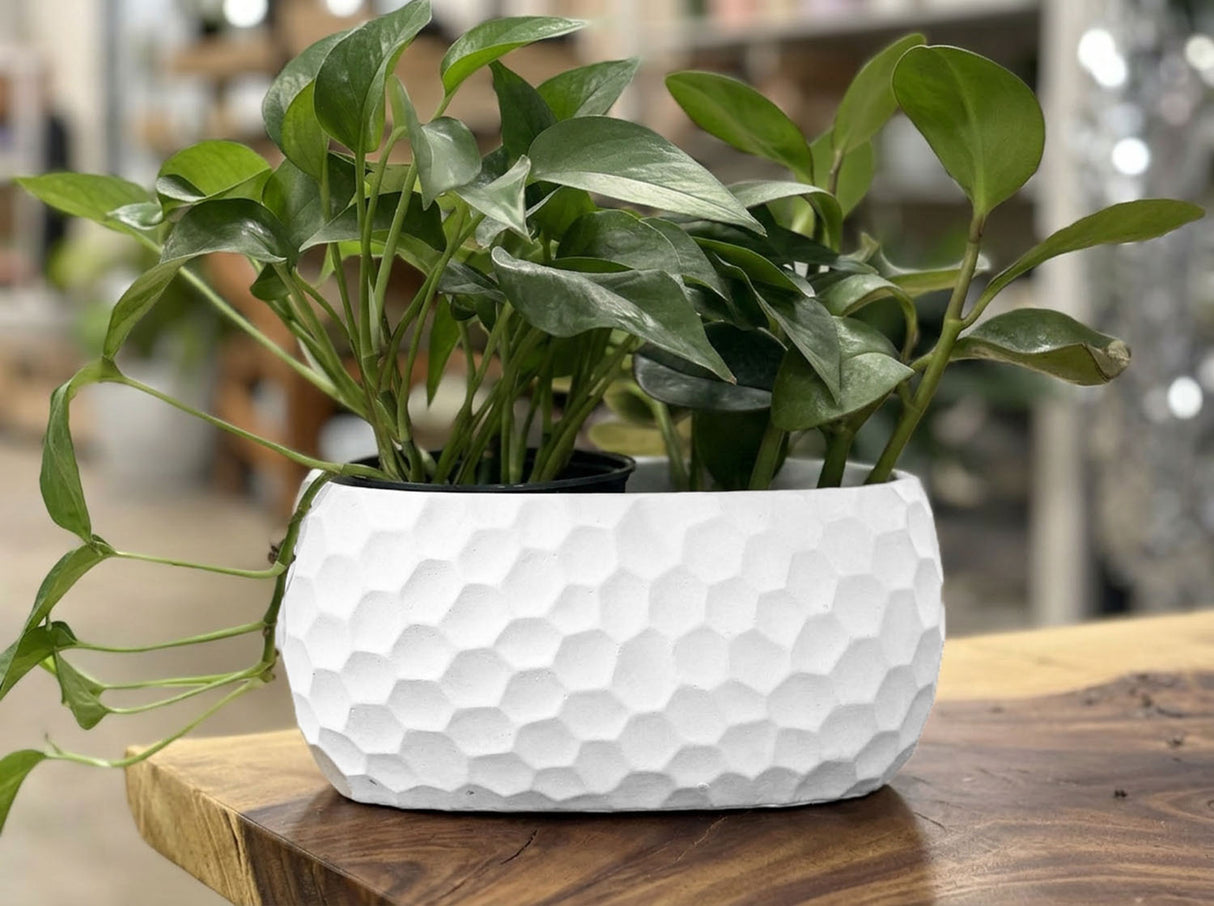AVENUE ART DÉCOR HONEYCOMB OVAL