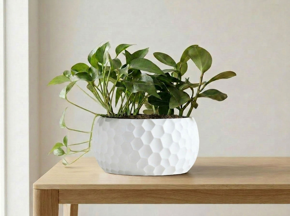 Art Decor Honeycomb Bowl