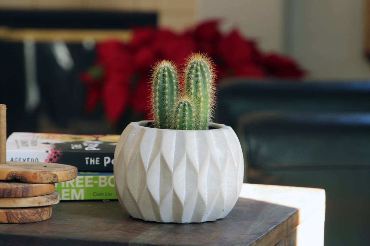 Geometry Diamond Twirl Planter