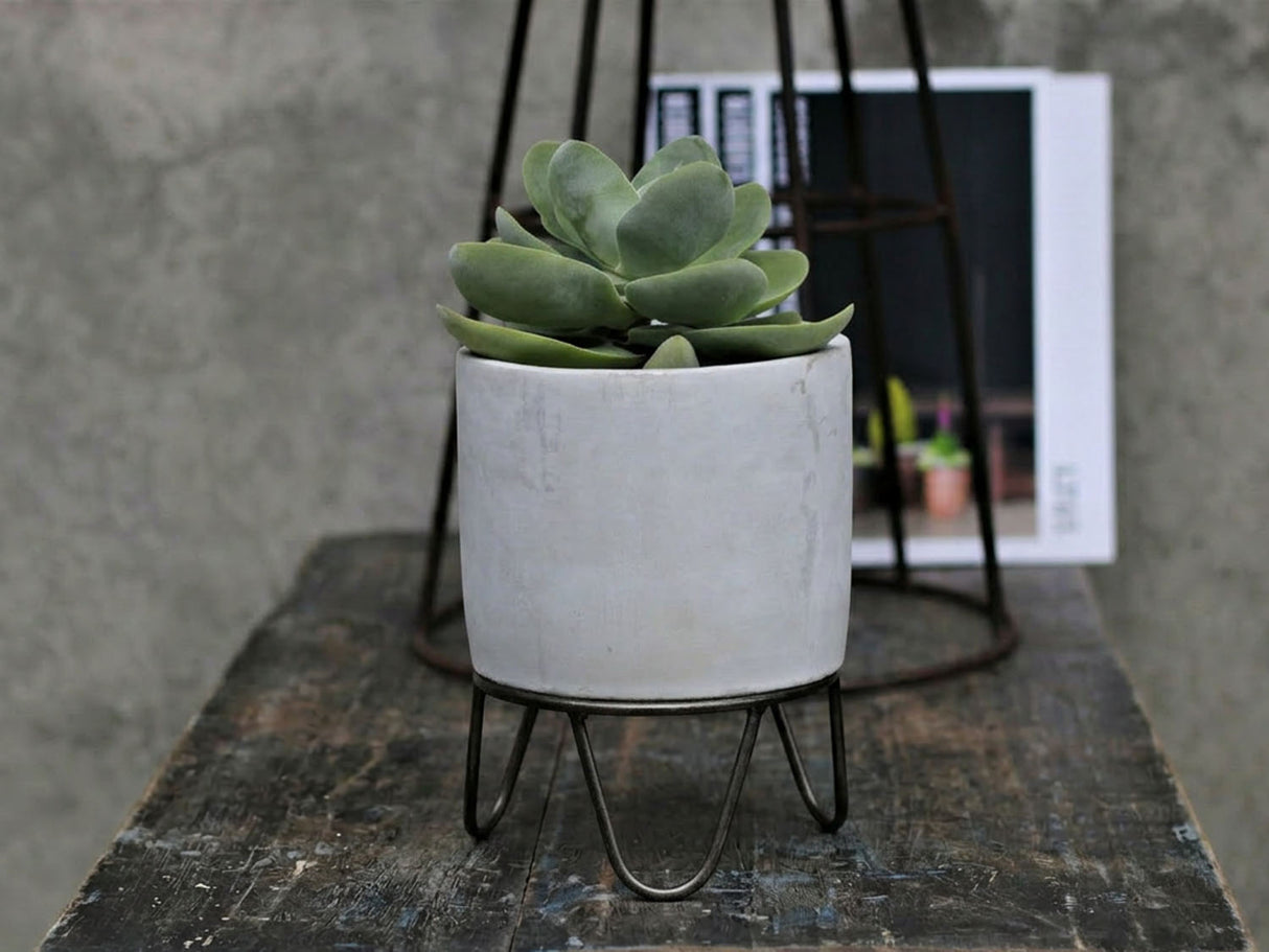 Cylinder Concrete Planter By Plantatorem