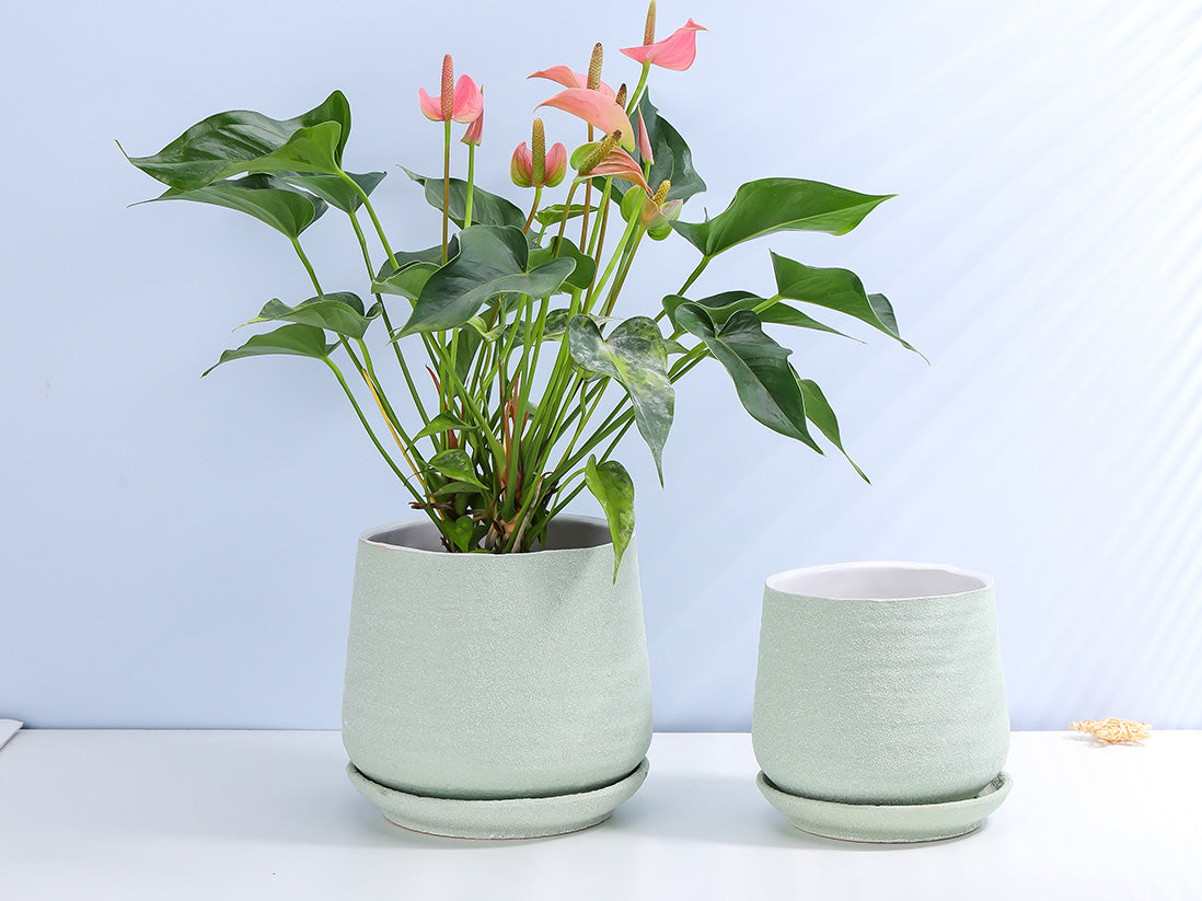 Hand Rolled Pot With Attached Saucer By Plantatorem