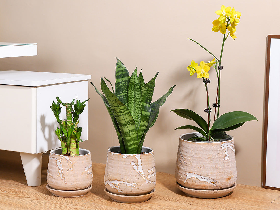 Hand Rolled Pot With Attached Saucer By Plantatorem