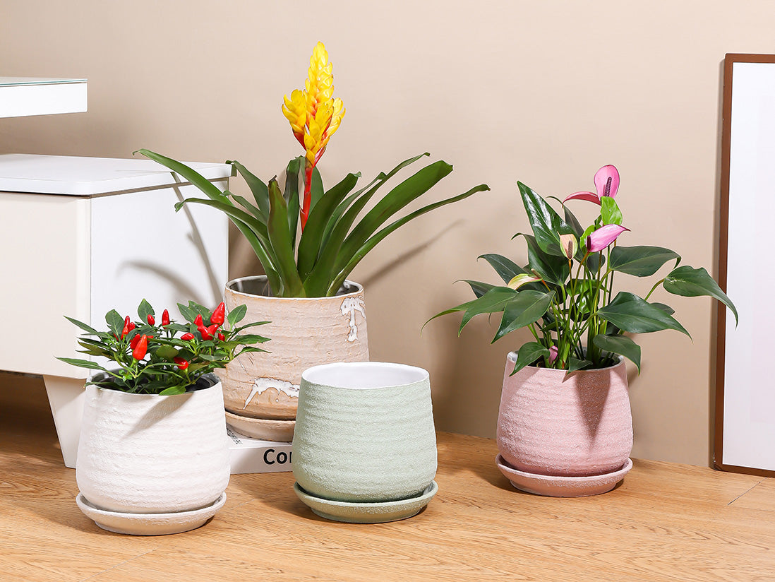 Hand Rolled Pot With Attached Saucer By Plantatorem