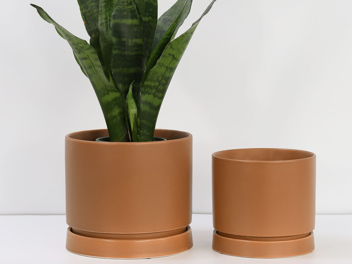 Carmel Attached Saucers Planters