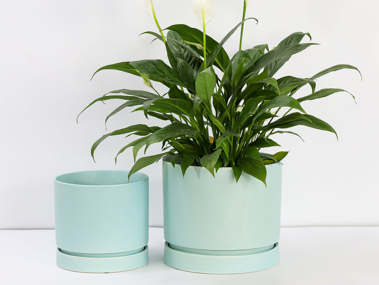 Carmel Attached Saucers Planters