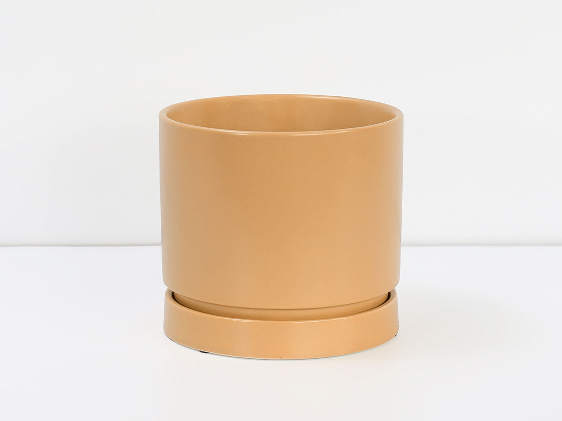 Carmel Attached Saucers Planters