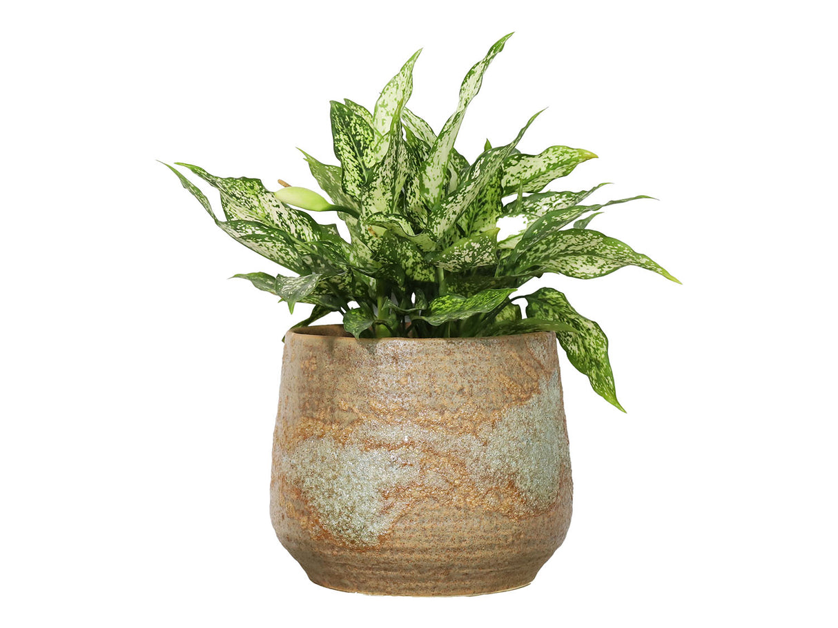 Round Hand Formed Planter