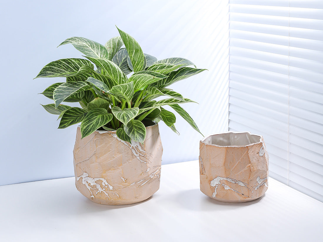 Rock Form Grower Pot By Plantatorem