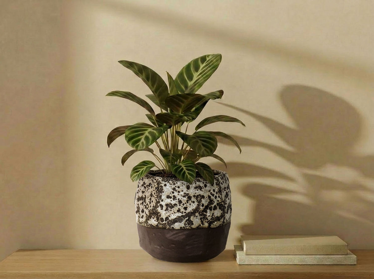 Hexagon Handformed Planter