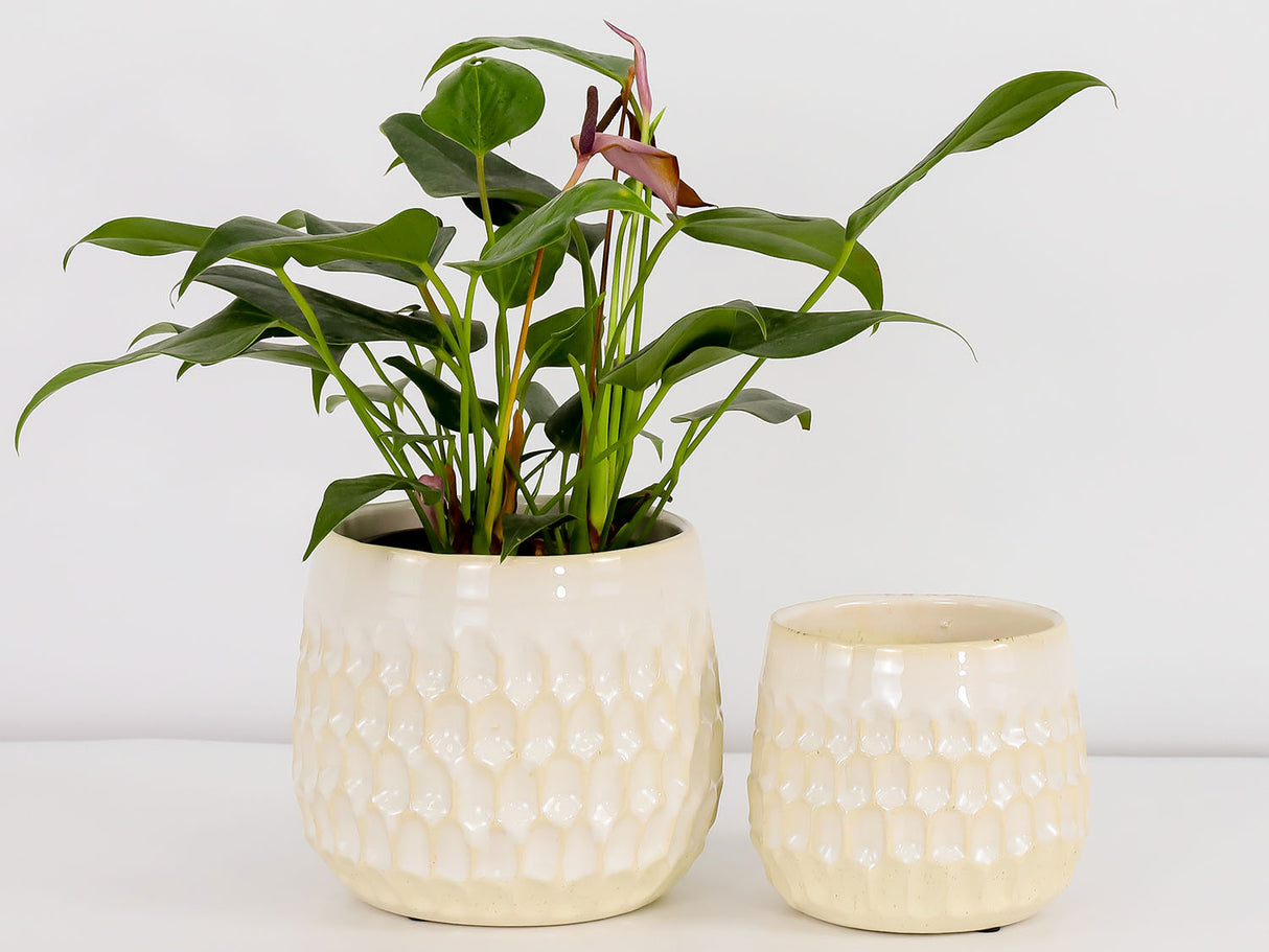 Cambria Planters