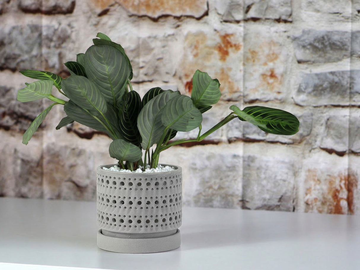 Moon Gate Orchid Planter with Attached Saucer - Sand By Plantatorem