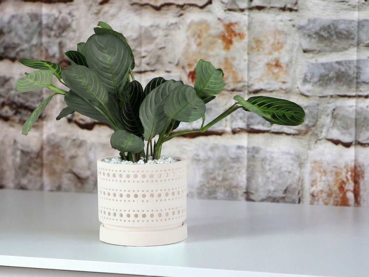 Moon Gate Orchid Planter with Attached Saucer - Sand By Plantatorem