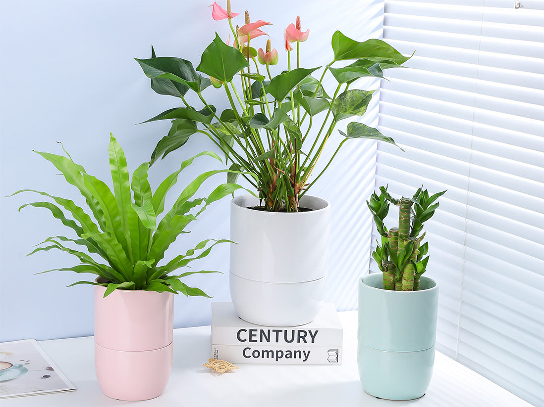 Urban Dweller Self-Watering Pot- Pastel By Plantatorem