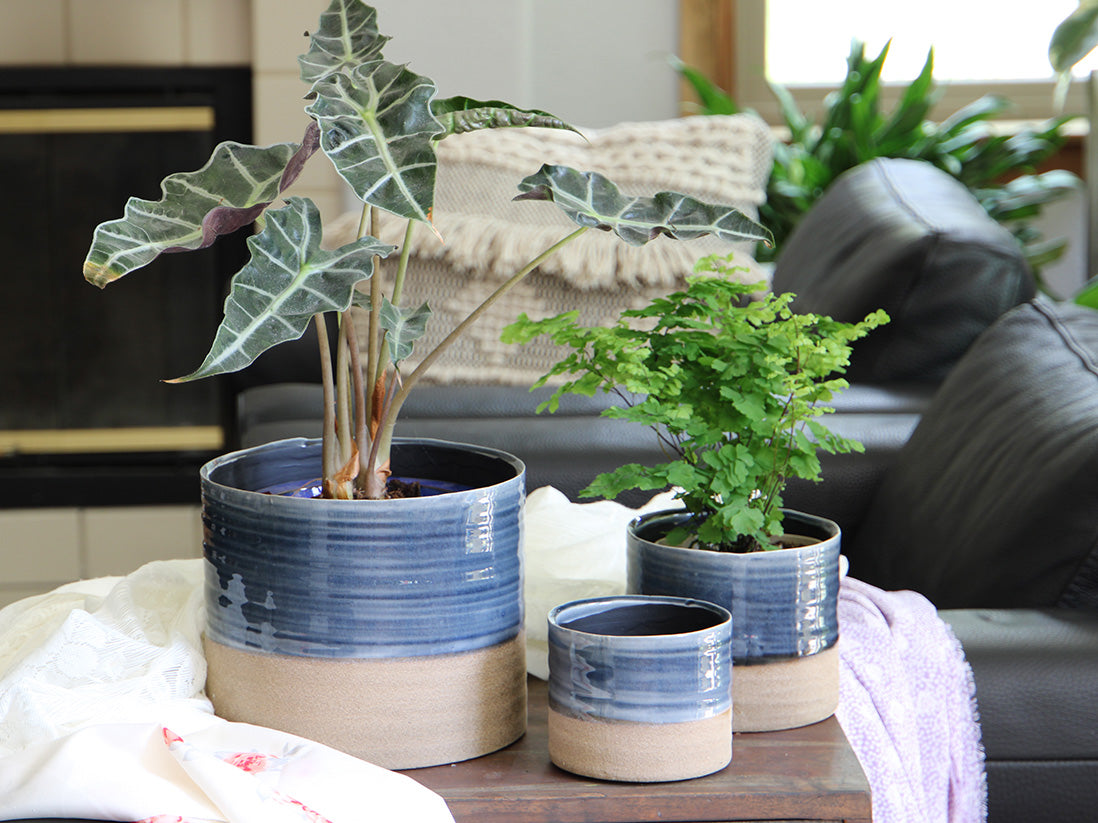 Jewel Mug Planter By Plantatorem