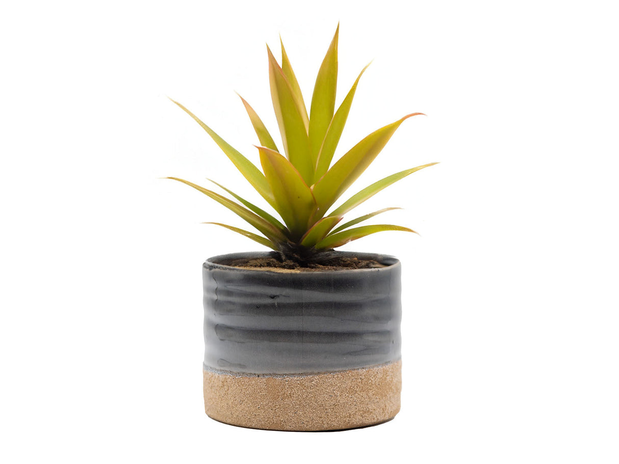 Jewel Mug Planter By Plantatorem