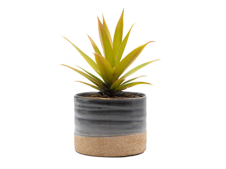 Jewel Mug Planter By Plantatorem