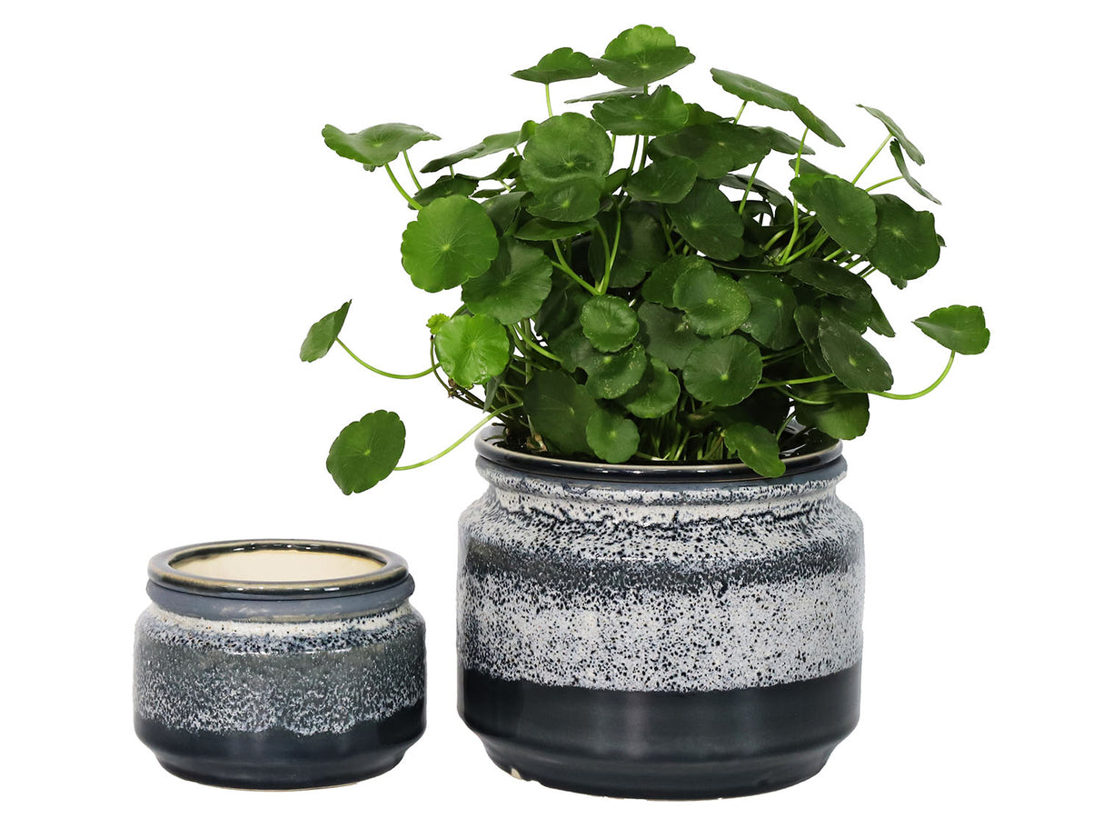 Jewel Self-Watering Planter By Plantatorem