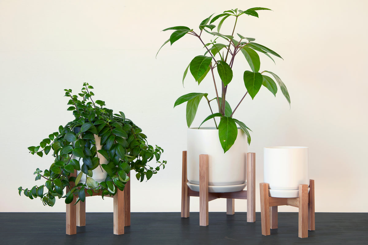 Mid Modern Medium Stand