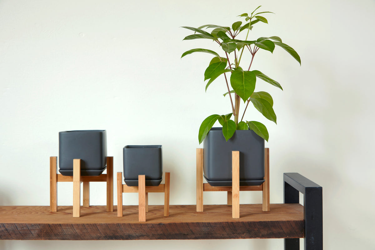 Mid Modern Small Stand