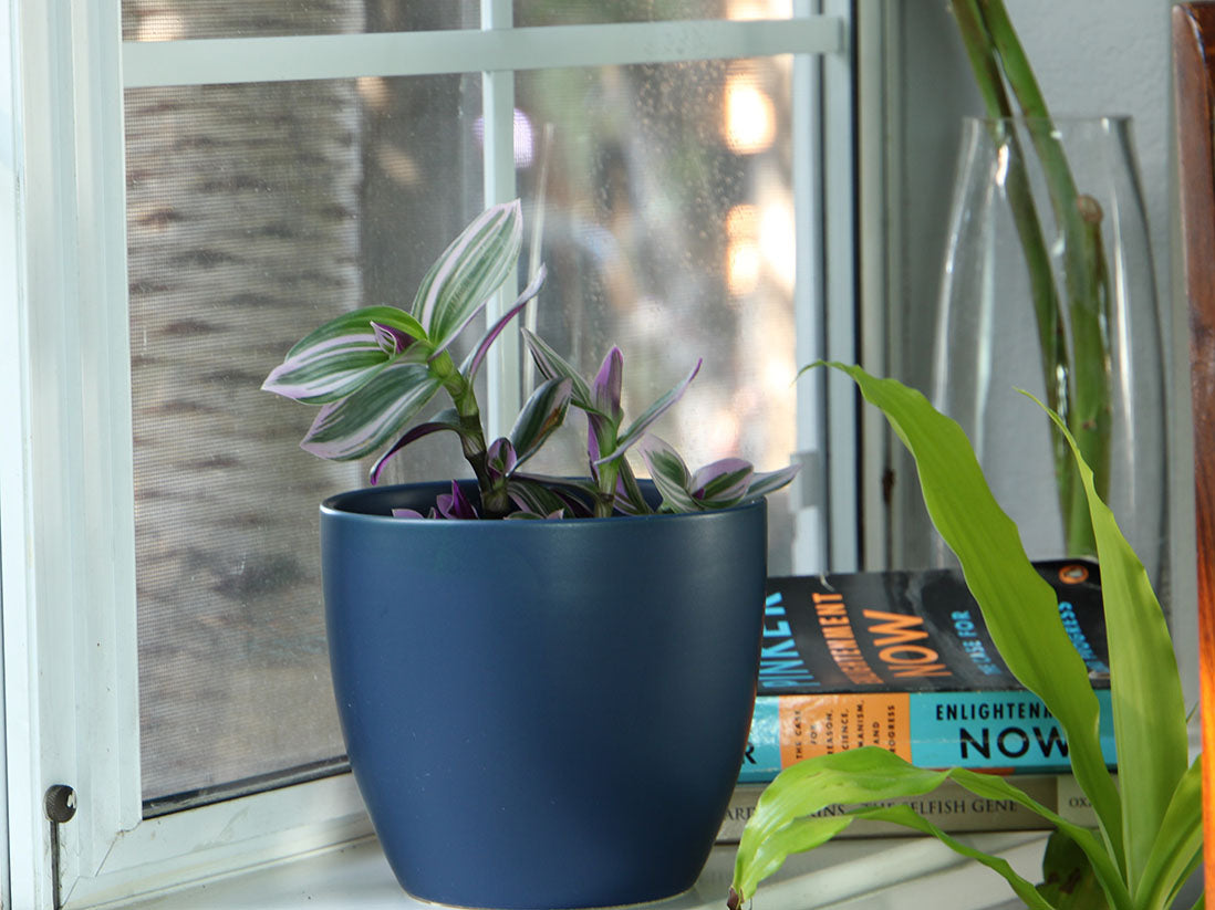 Peace Lily Cache Pot- 8.5" x 7.5" By Plantatorem