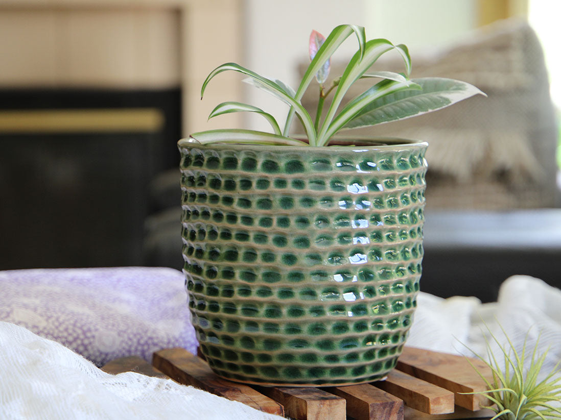 Honeycomb Planter- 6.5" x 5.5" By Plantatorem