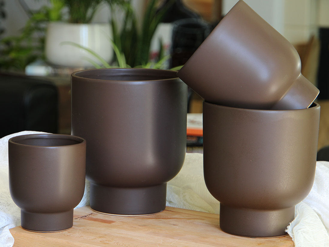 Monstera Cache Pot- 6.5" x 7.5" By Plantatorem