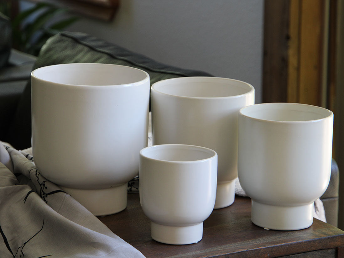 Monstera Cache Pot- 6.5" x 7.5" By Plantatorem